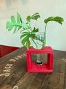 Glass Planter